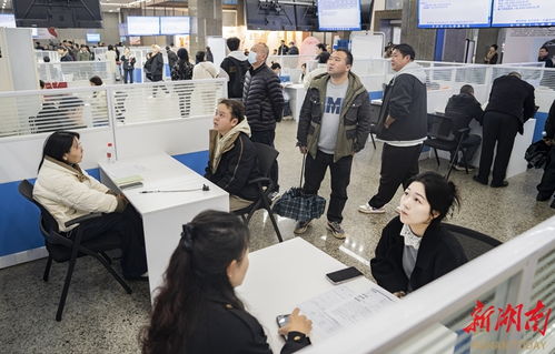 搭臺送崗 服務賦能 信息咨詢服務在就業生態中的核心價值